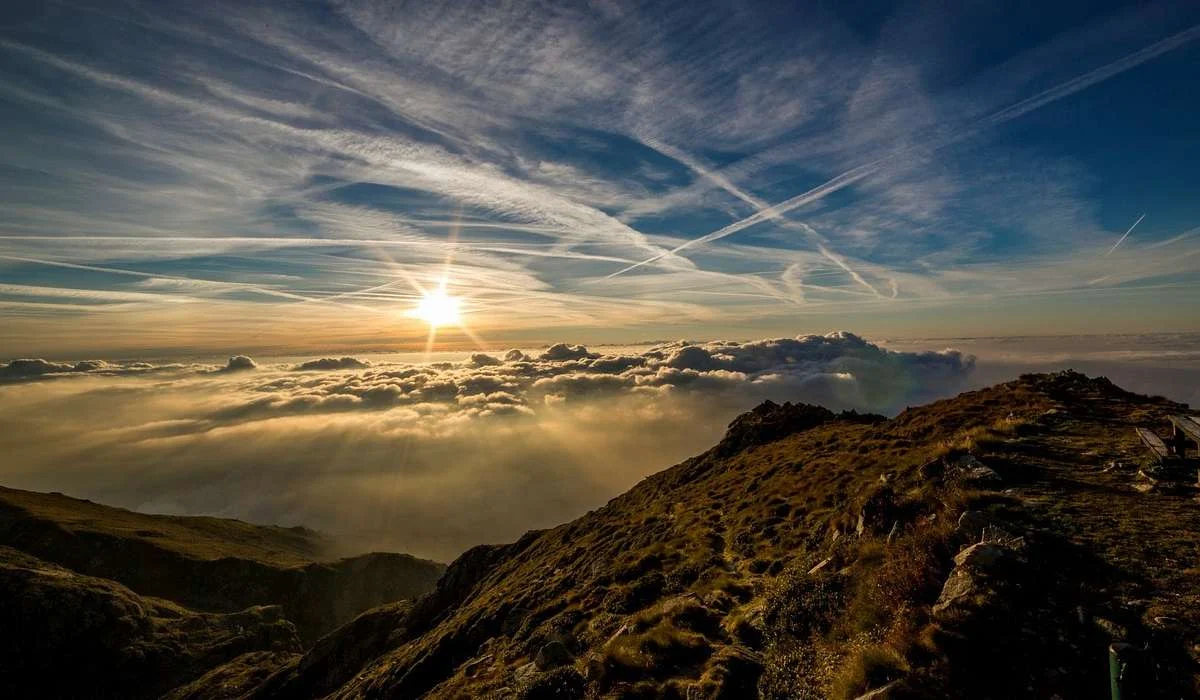 Qual è l'ambiente predominante sulla Terra?