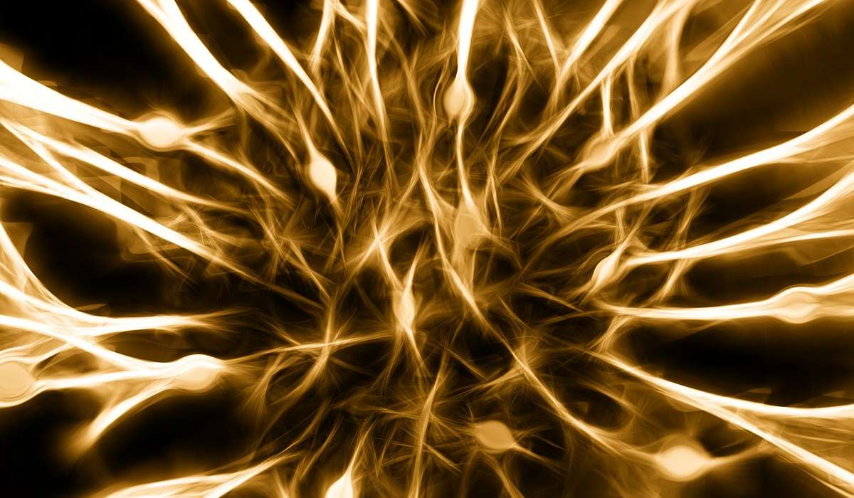 Come sono chiamate quelle cellule che insieme ai neuroni costituiscono il sistema nervoso?