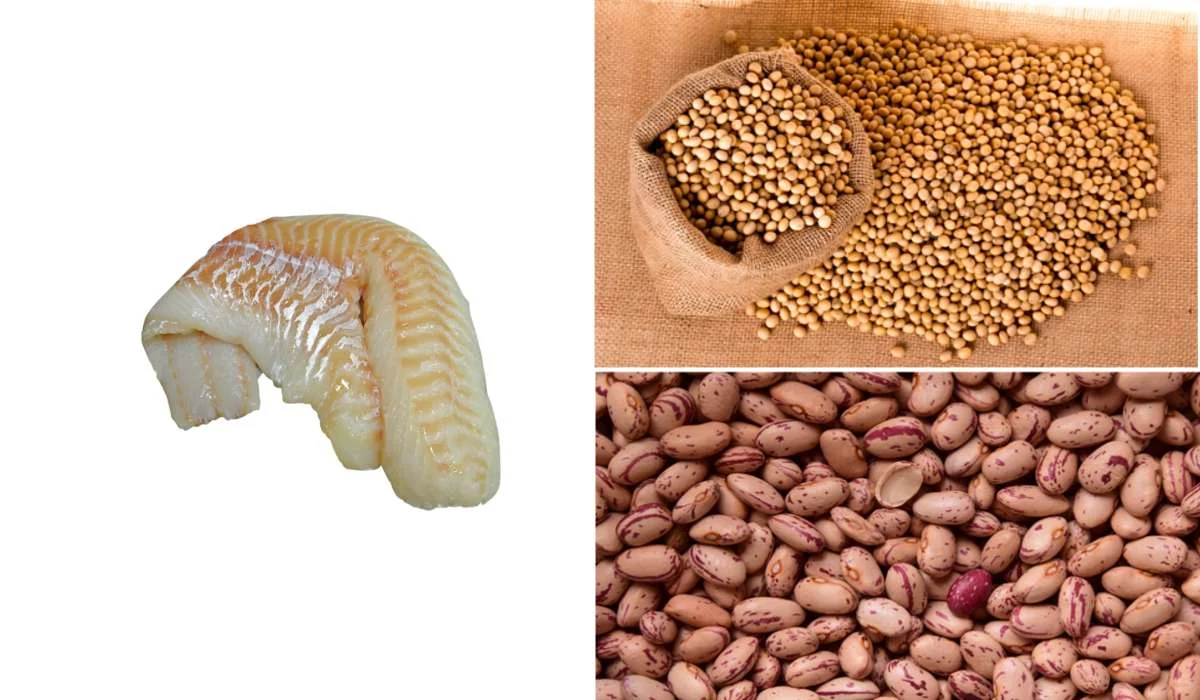 Quale tra questi contiene più proteine?