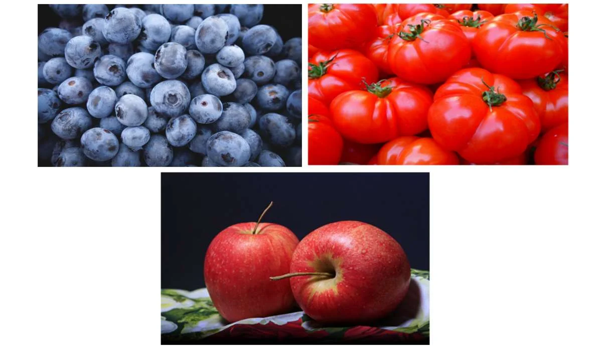 L’alimento che contiene più agenti antiossidanti?