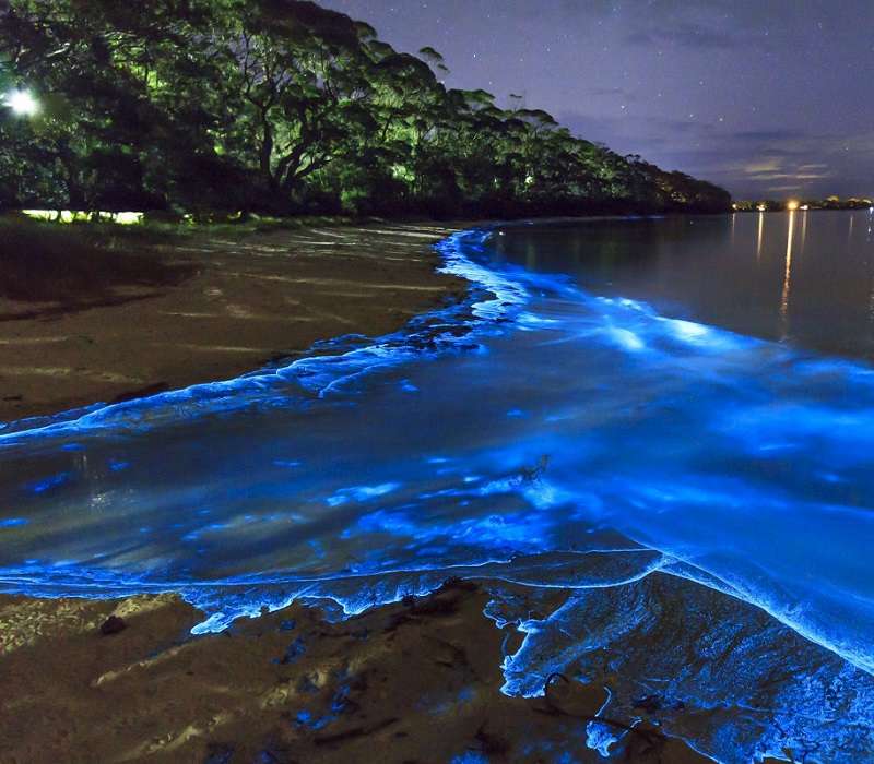 La bioluminescenza dona al mare di notte di Vaadhoo una realtà onirica.