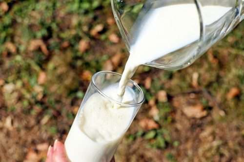 La caseina contenuta nel latte è stata considerata come potenzialmente cancerogena in 