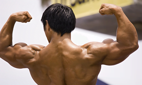 I muscoli vengono influenzati positivamente dall'effetto dell'ormone della crescita (GH).