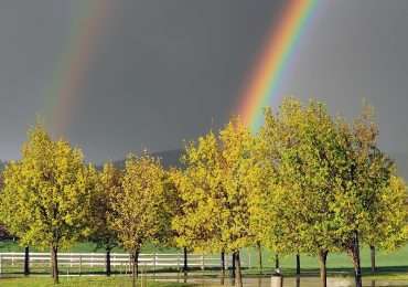L'arcobaleno, come si forma e cos'è.