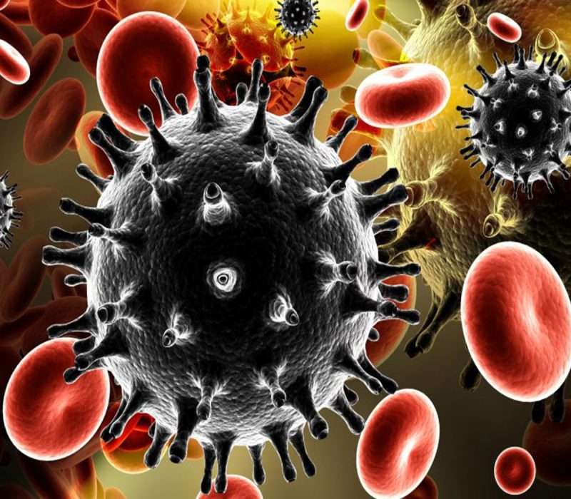 L'immagine semplifica la presenza nel sangue del virus del vaiolo, debellato grazie al vaccino