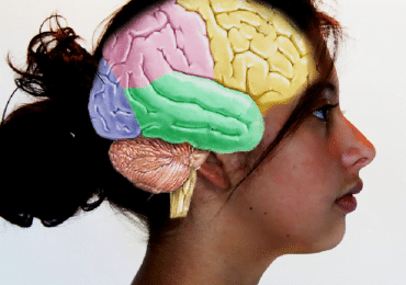 Il significato di sapiosessuale può essere semplificato, dicendo che caratterizza tutti coloro che sono sessualmente attratti da individui dotati di un certo livello di intelligenza, ma ha anch'esso una serie di sfumature.