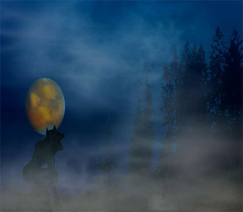 La leggenda del lupo mannaro è riconducibile ad un disturbo psichiatrico noto come licantropia.