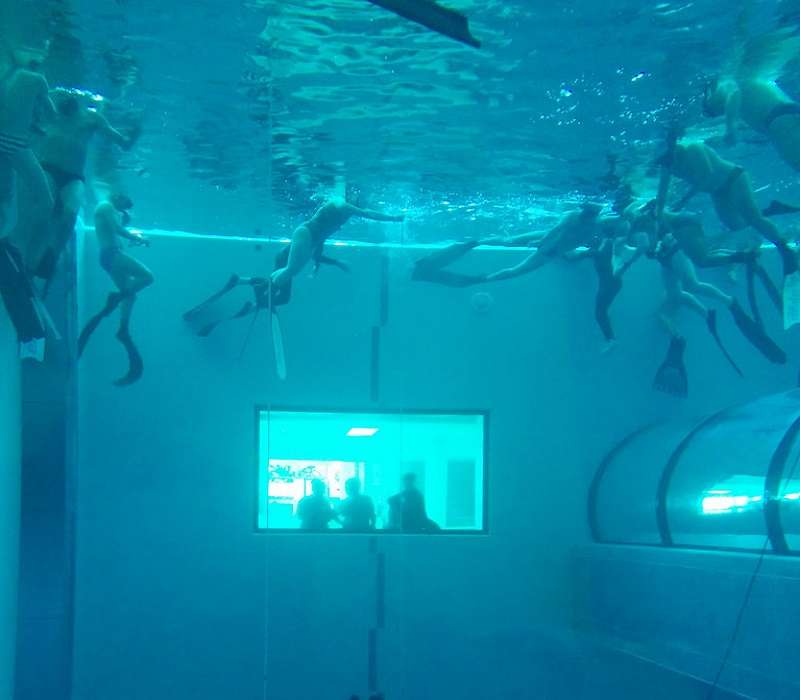 Y-40, la piscina più profonda del mondo è anche l'unica piscina di acqua termale, che permette le immersioni senza muta.