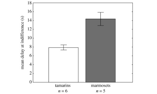I dati raccolti dal test della pazienza effettuato su esemplari di uistitì e tamarini, in cui i primi risultano essere molto più disposti ad attendere.