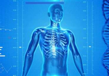 Conosci le misure del corpo umano? Se sei sicuro di sapere quane ossa ha un bambino oppure quanto è lungo il nostro intestino, allora questo è il quiz che fa per te.