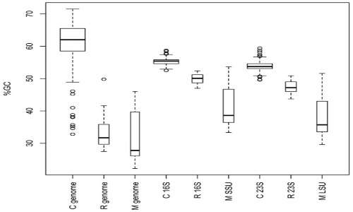 Boxplot raffigurante il GC% in funzione del rRNA in Caulobacter e Rickettsia. Il grafico è simile a quello che si potrebbe stilare per i protisti