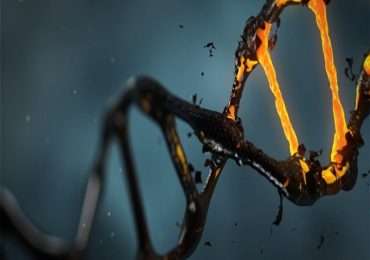 il codice genetico espanso è insito nella struttura molecolare del DNA