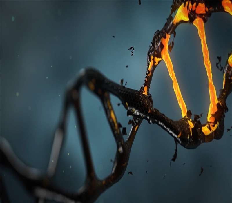 il codice genetico espanso è insito nella struttura molecolare del DNA