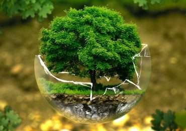 Domande sulla scienza che studia la vita: quiz sulla biologia, i processi fisici e chimici degli esseri viventi.