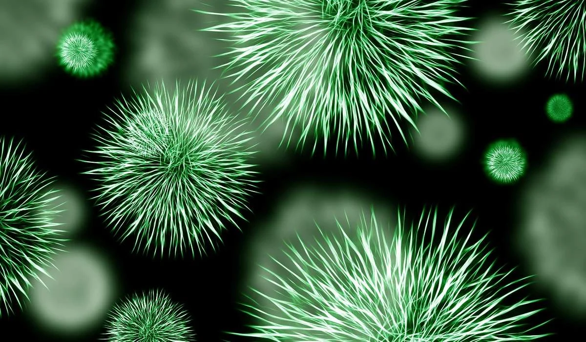La prima semplice forma di vita era una cellula molto simile: