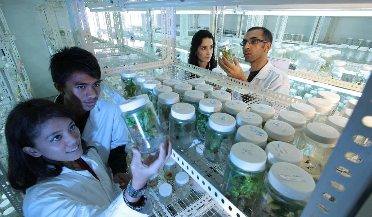 Quale di questi costituisce parte integrante della normale flora intestinale dell'uomo e di altri animali?