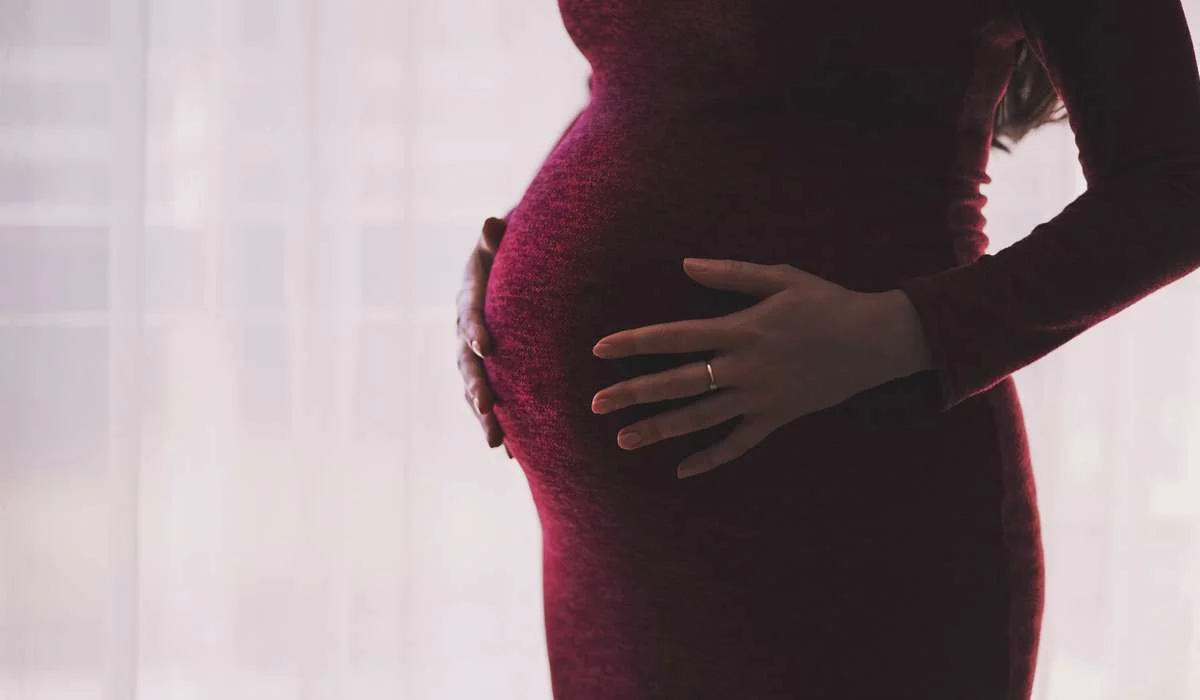 Negli esseri umani dopo la fecondazione la cellula uovo si divide in cellule sempre più grandi.