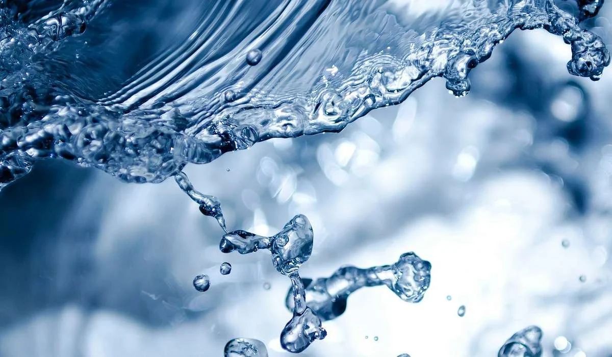 Scienza dell'equilibrio e del moto dei liquidi.