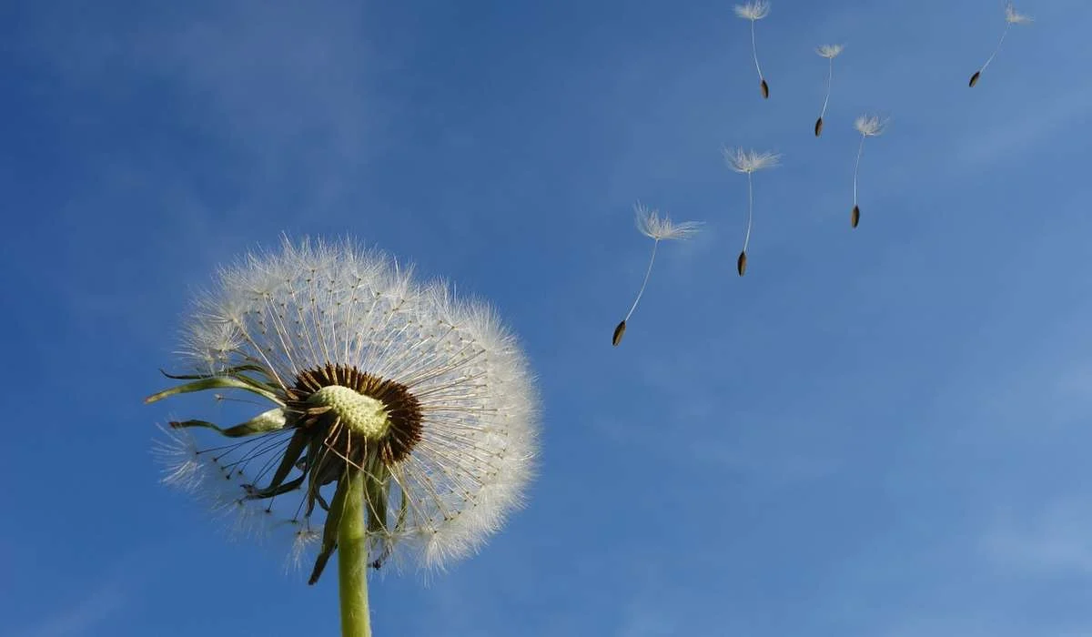 Cos'è un vento in meteorologia?
