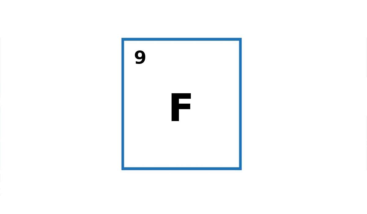 Per cosa sta il simbolo F?