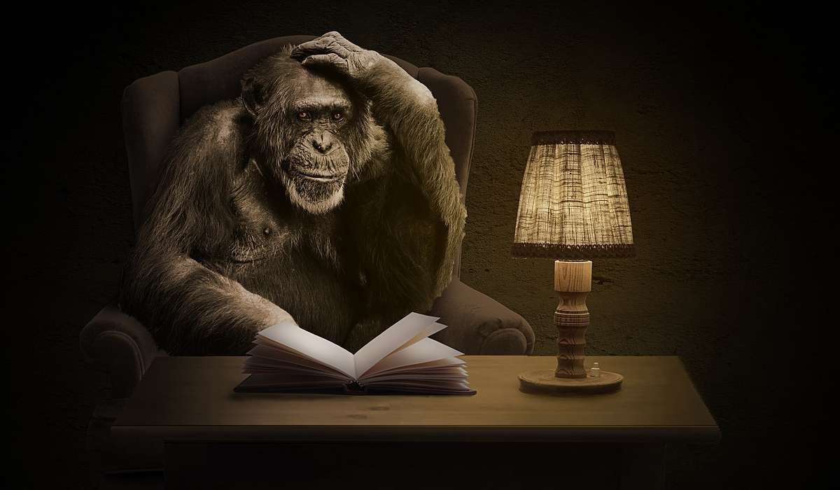 L'intelligenza superiore dello scimpanzé è condivisa con quale altro animale?