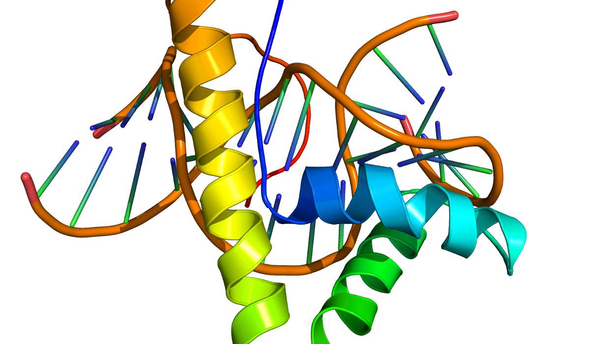 Scienza che studia l’insieme delle proteine, in un dato organismo e in un determinato momento.