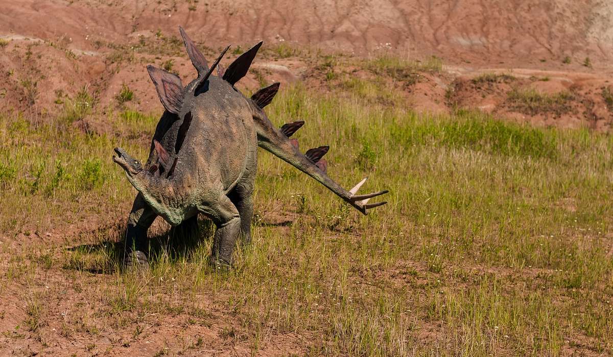 Quale dinosauro è conosciuto per le enormi piastre sul dorso?