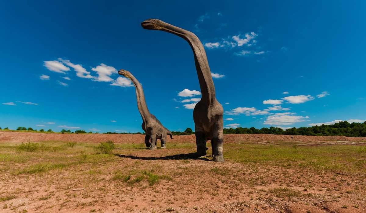 Si stima che il dinosauro più alto e pesante mai esistito sia: