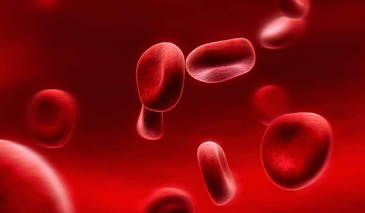 Esistono tre tipi di cellule del sangue.