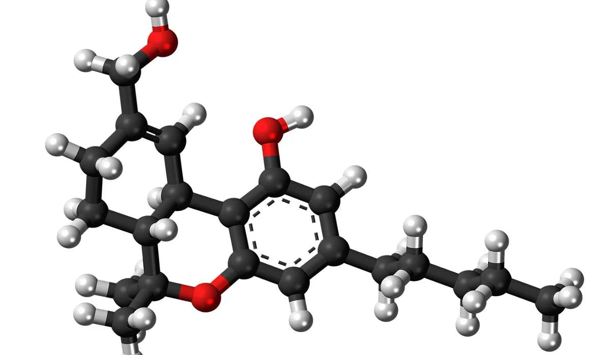 La cannabis in vendita che percentuale di THC può raggiungere?