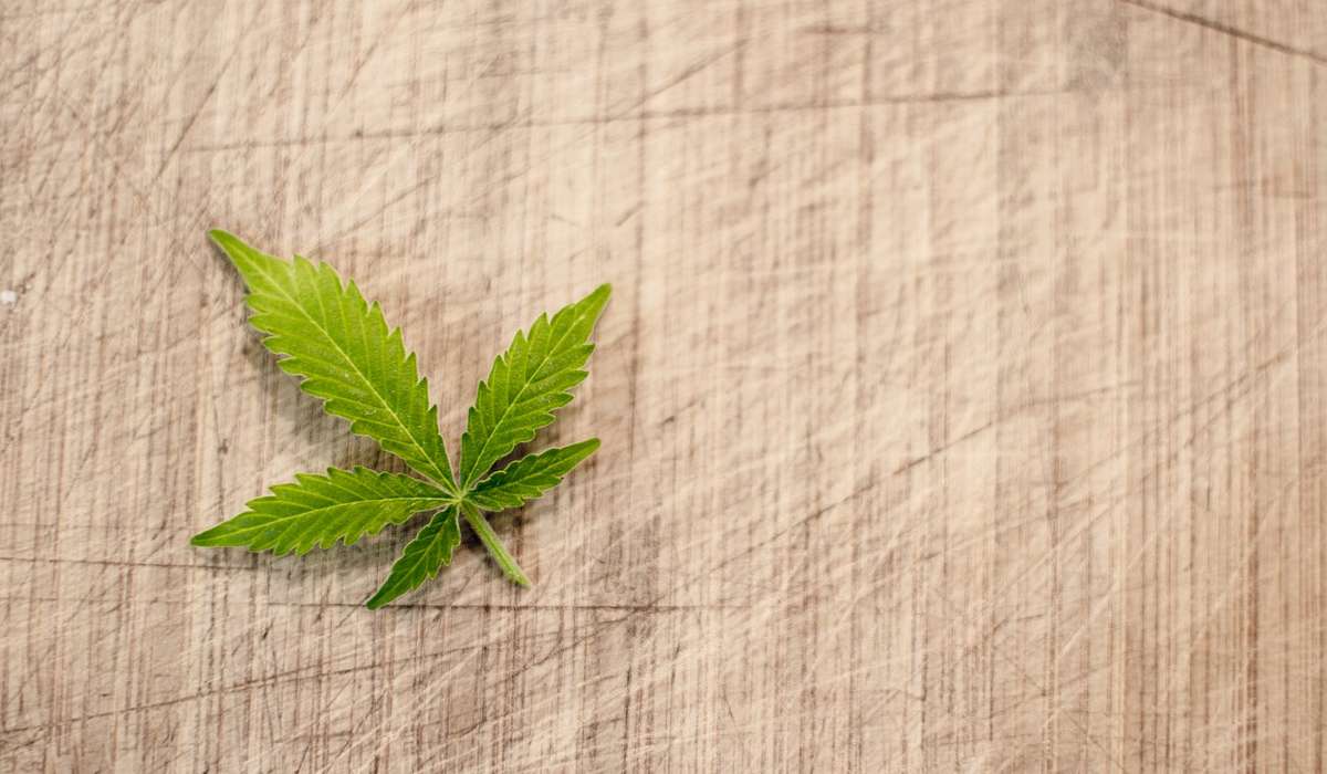 Perché la foglia di canapa, simbolo della marijuana, generalmente non viene fumata?