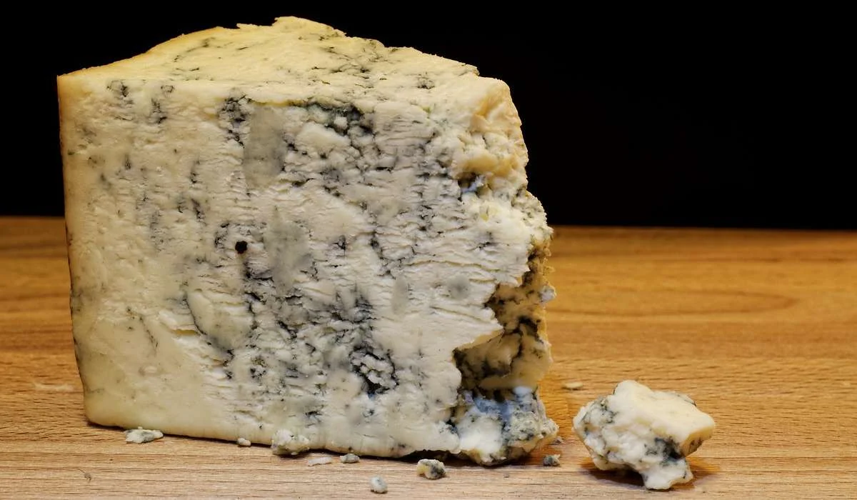 Per produrre quale di questi formaggi si utilizza la crescita di una muffa commestibile?