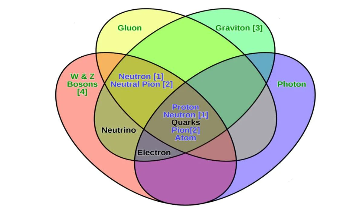 Quale di queste non è una delle quattro interazioni fondamentali?