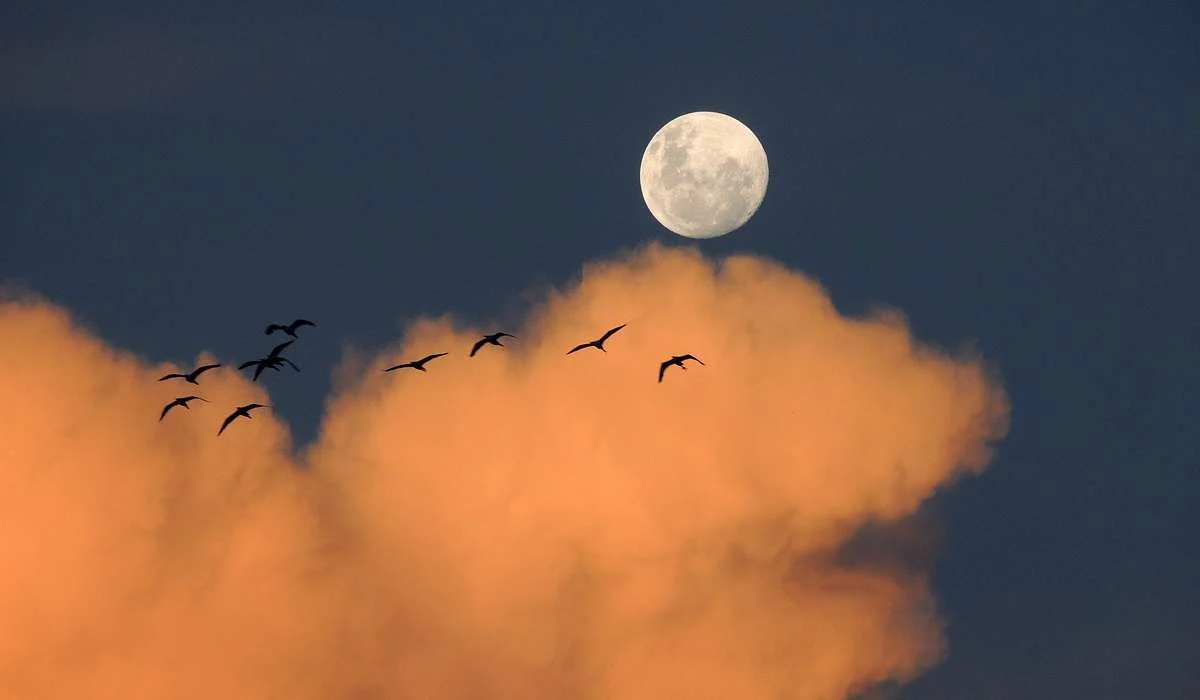 In quanto tempo la Luna ruota su sé stessa?