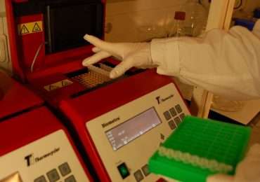 Uso del termociclatore per i cicli di PCR