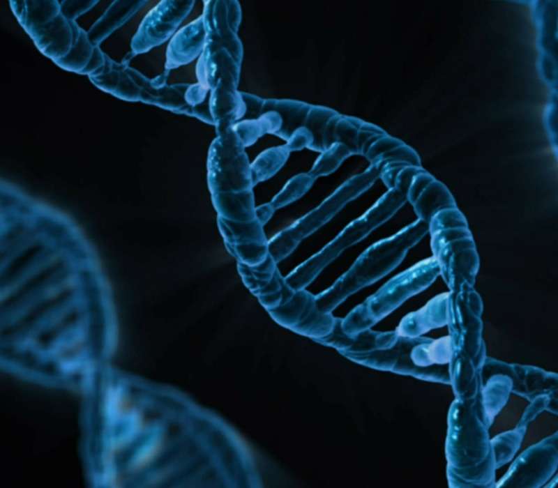 La terapia genica utilizza il DNA per curare le malattie genetiche
