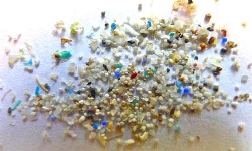 Le isole di plastica contengono grandi quantità di microplastiche.