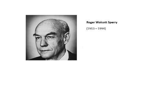 Lo studioso che rese nota la condizione split-brain fu Roger Sperry,in collaborazione con Gazzaniga.