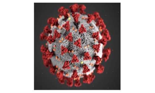 La struttura molecolare del nuovo coronavirus è stata osservata al microscopio elettronico e il suo genoma a RNA a singolo filamento positivo è stato sequenziato.
