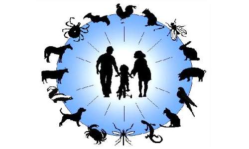 Le zoonosi sono malattie infettive che vengono trasmesse dagli animali all'uomo.