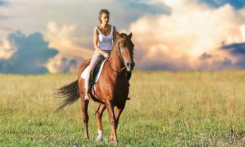 Sembra che l'ippoterapia risalga alla Grecia antica. Ippocrate di Coo consigliava le attività equestri come metodo efficacie in caso di ansia e insonnia.