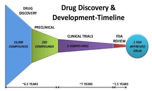 Timeline della sperimentazione: uno studio clinico dura mediamente 7 anni.