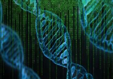 Il DNA non codificante svolge un ruolo fondamentale nel nostro organismo.
