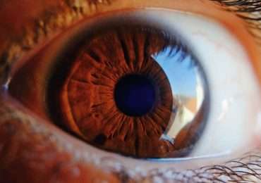 L'occhio è l'organo visivo, più affascinante, in grado di catturare la maggior parte delle informazioni esterne e inviarle al nostro cervello. Ma quanto conosci l'occhio umano?