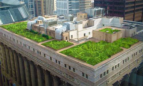 Un tetto giardino è stato istallato sul tetto del municipio di Chicago