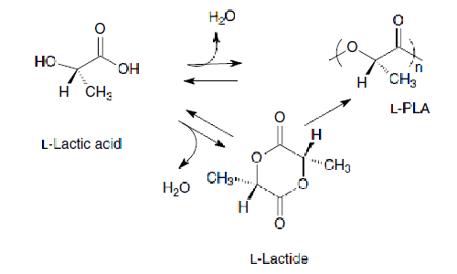 Per produrre acido polilattico si sfrutta la fermentazione con uno schema di reazione semplificativo. del genere.