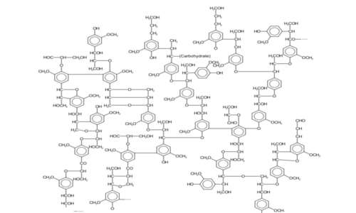 struttura chimica della lignina e fotoluminescenza del legno
