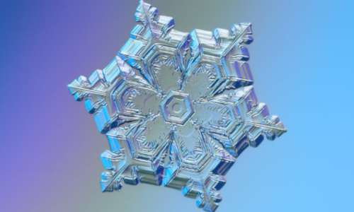 I cristalli di neve al microscopio sono solitamente esagonali con ramificazioni dai vertici.