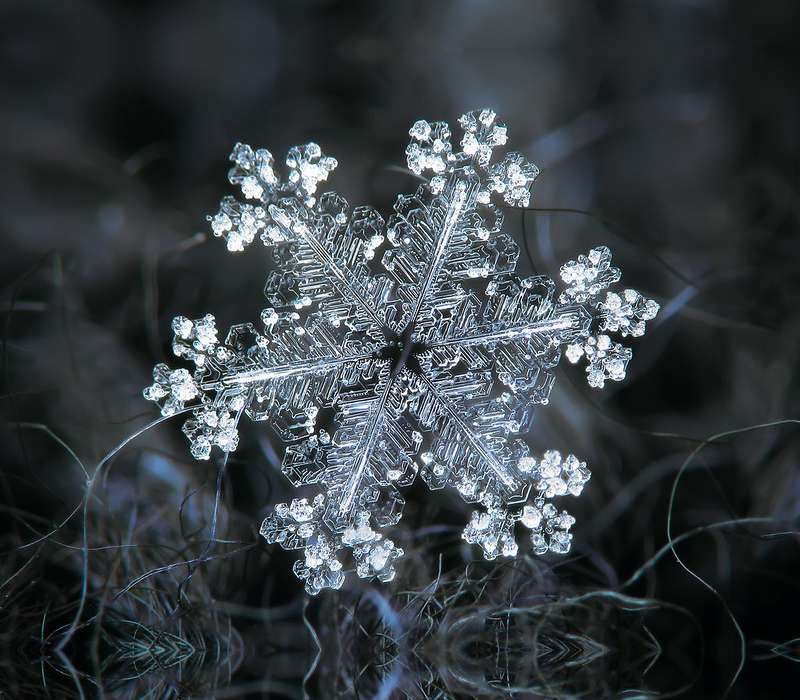 Cristalli di neve foto: ramificazioni da base esagonale