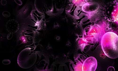 : Linfociti NK proteggono dall’acquisizione e sviluppo del virus.